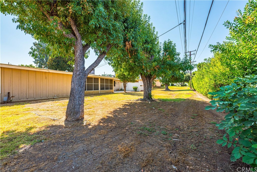 28241 Winged Foot Drive Menifee, CA 92586 - Photo 24 of 25 a view of a yard with a tree