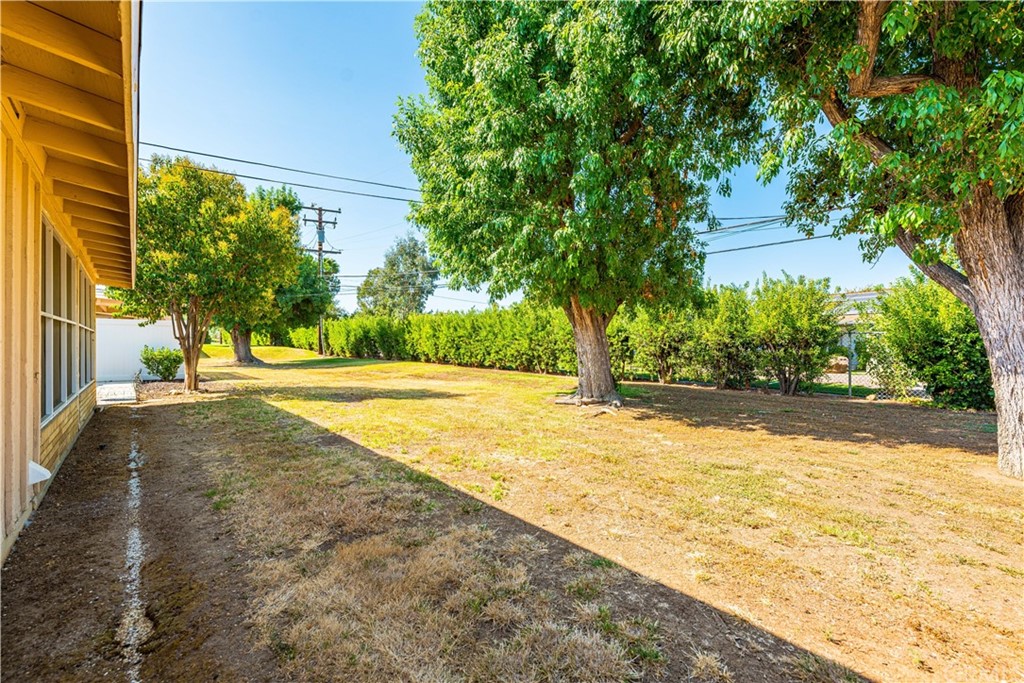 28241 Winged Foot Drive Menifee, CA 92586 - Photo 25 of 25 a view of yard with tree