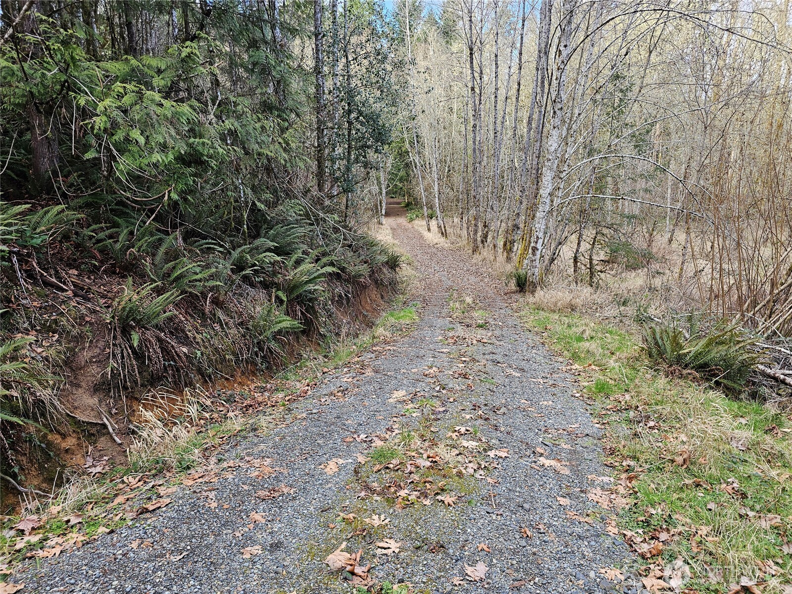 3017 Graf Road Centralia, WA 98531 - Photo 29 of 39 Gallery Image 29