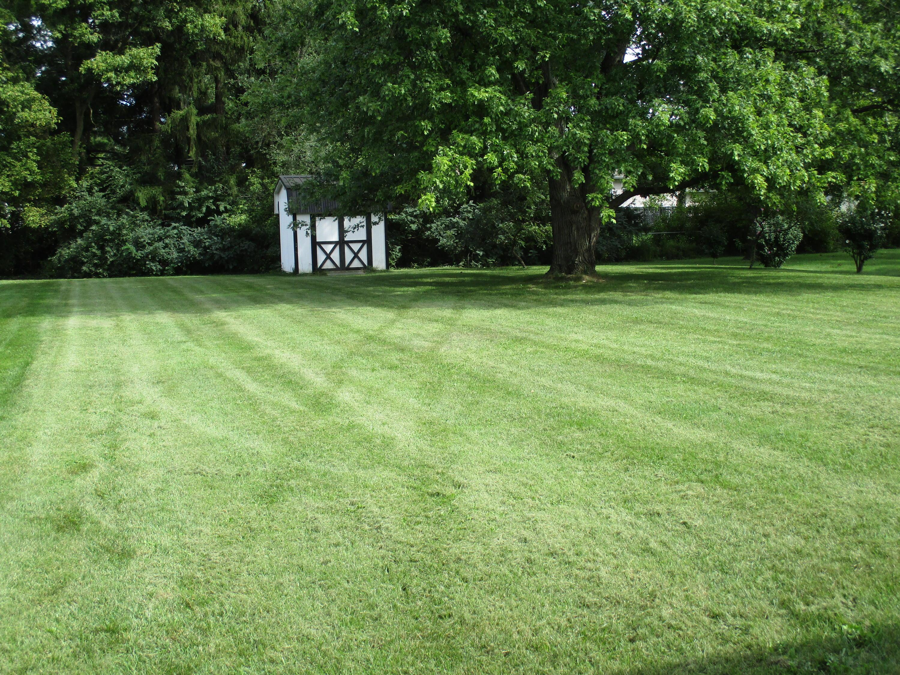 644 Bernhard Road Whitehall, OH 43213 - Photo 2 of 16