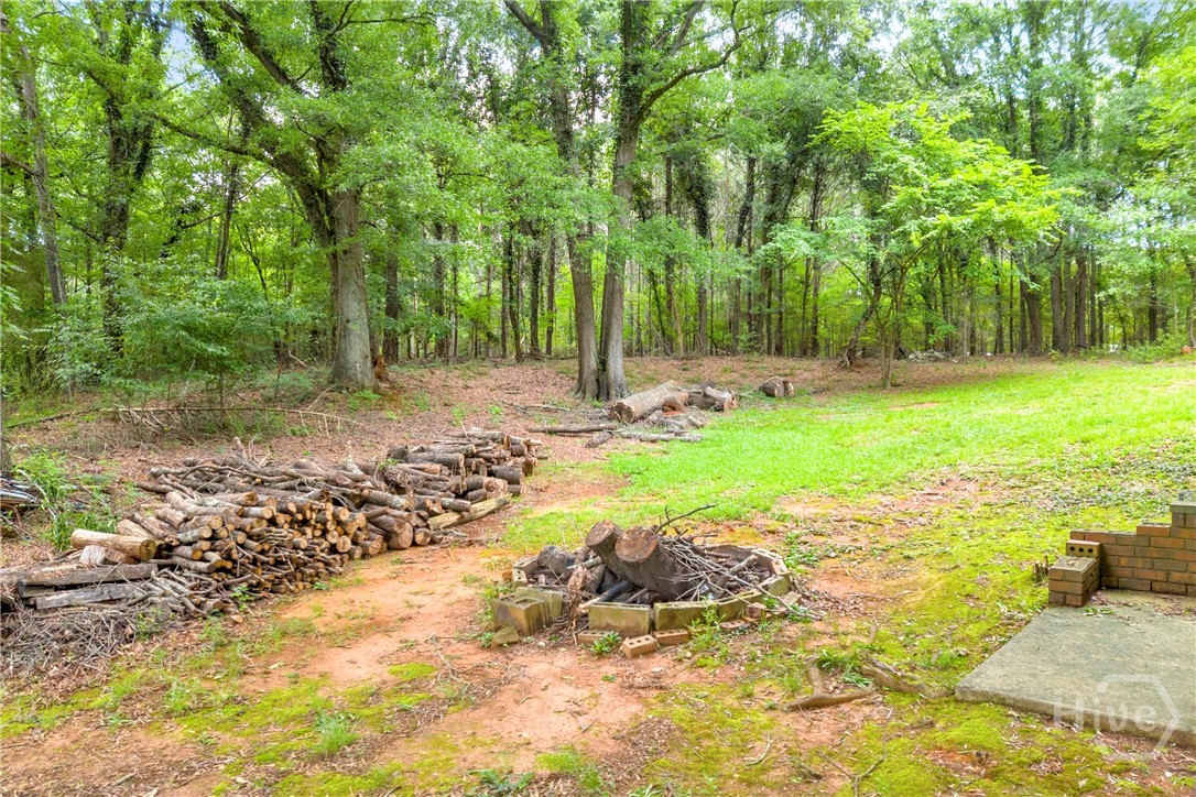 145 Joe Carey Road Winterville, GA 30683 - Photo 50 of 65 Gallery Image 50