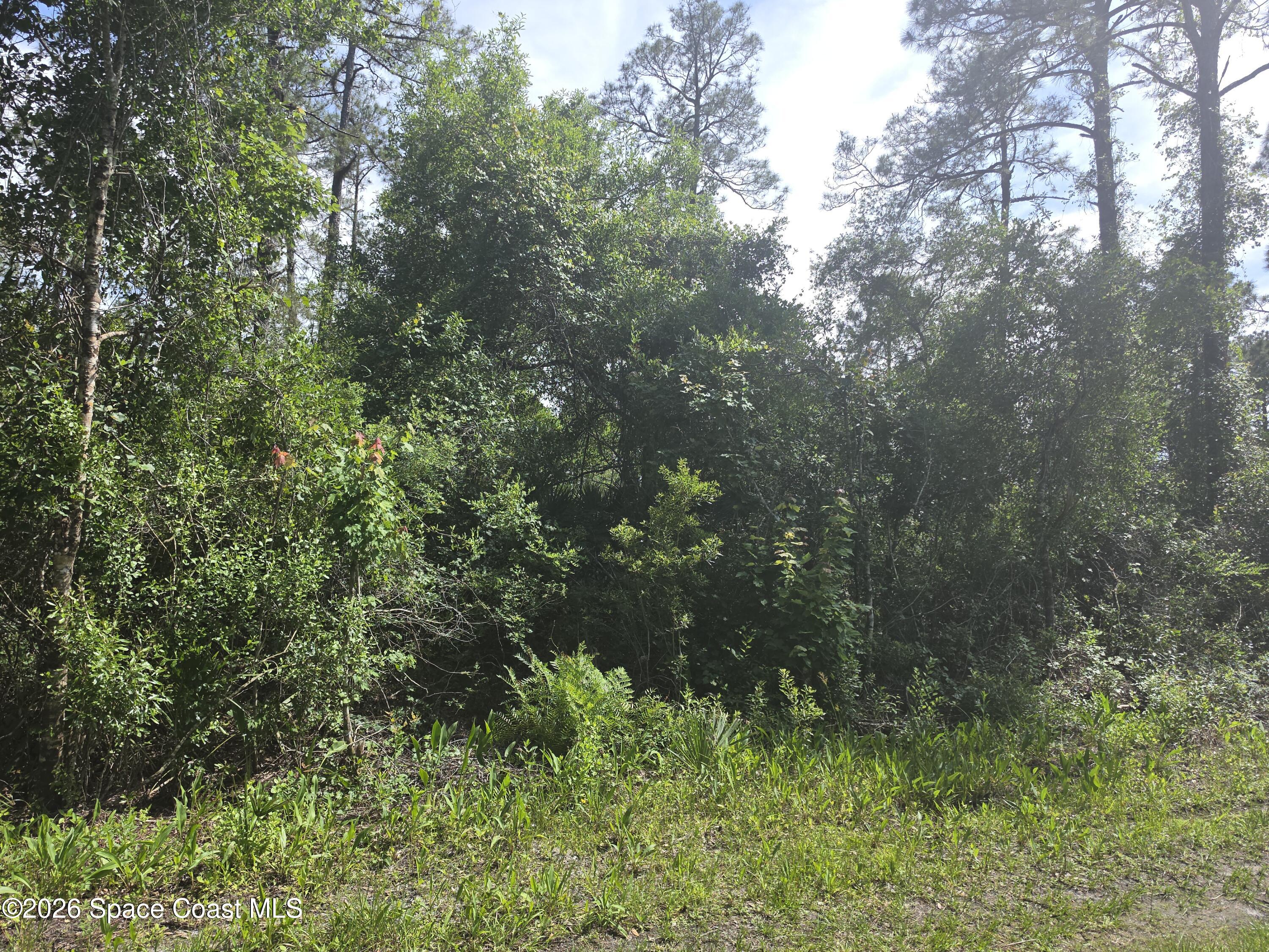 0 Spanks Street Mims, FL 32754 - Photo 4 of 6
