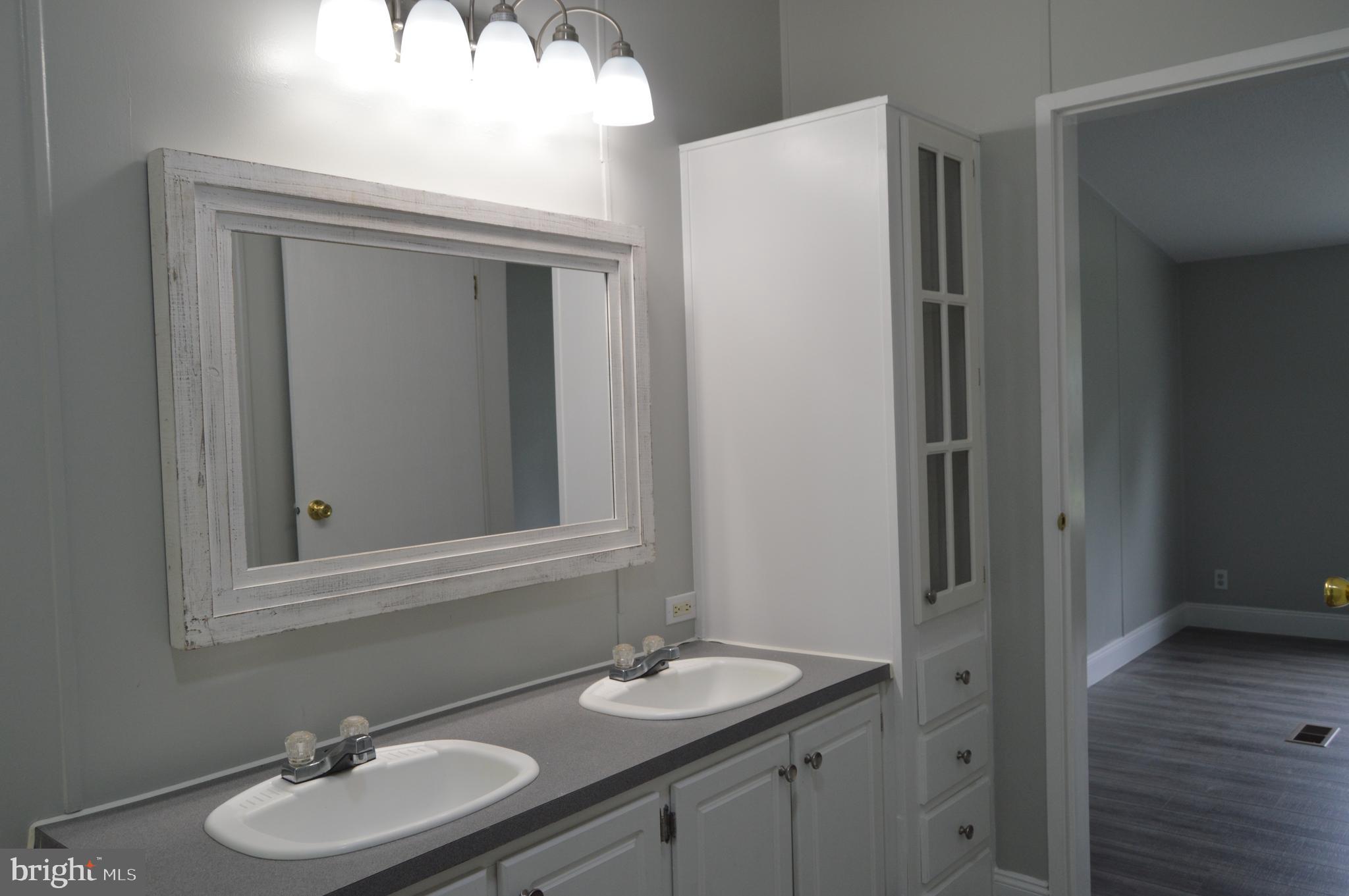 19286 Courtney Road Hanover, VA 23069 - Photo 20 of 23 Imagine getting ready for work in this luxury bath