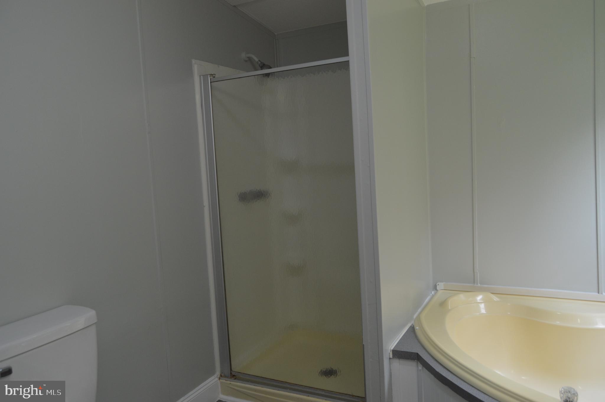19286 Courtney Road Hanover, VA 23069 - Photo 21 of 23 Separate Shower