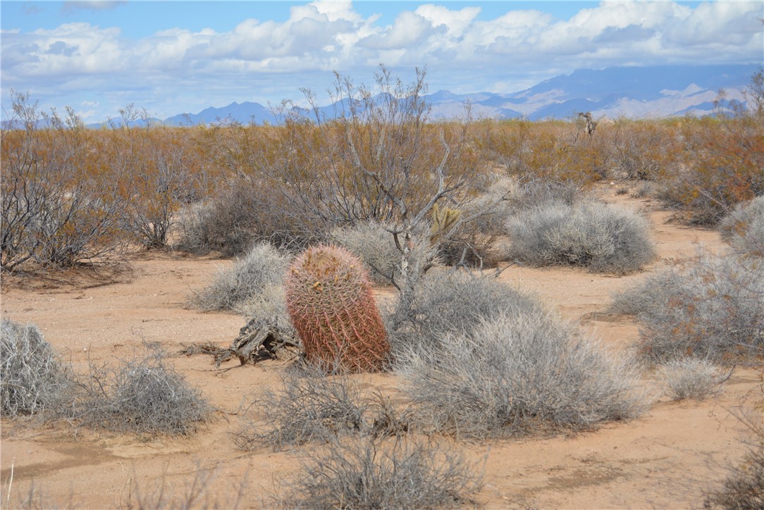 207-35-005 South Arlington Road Yucca, AZ 86438 - Photo 68 of 92