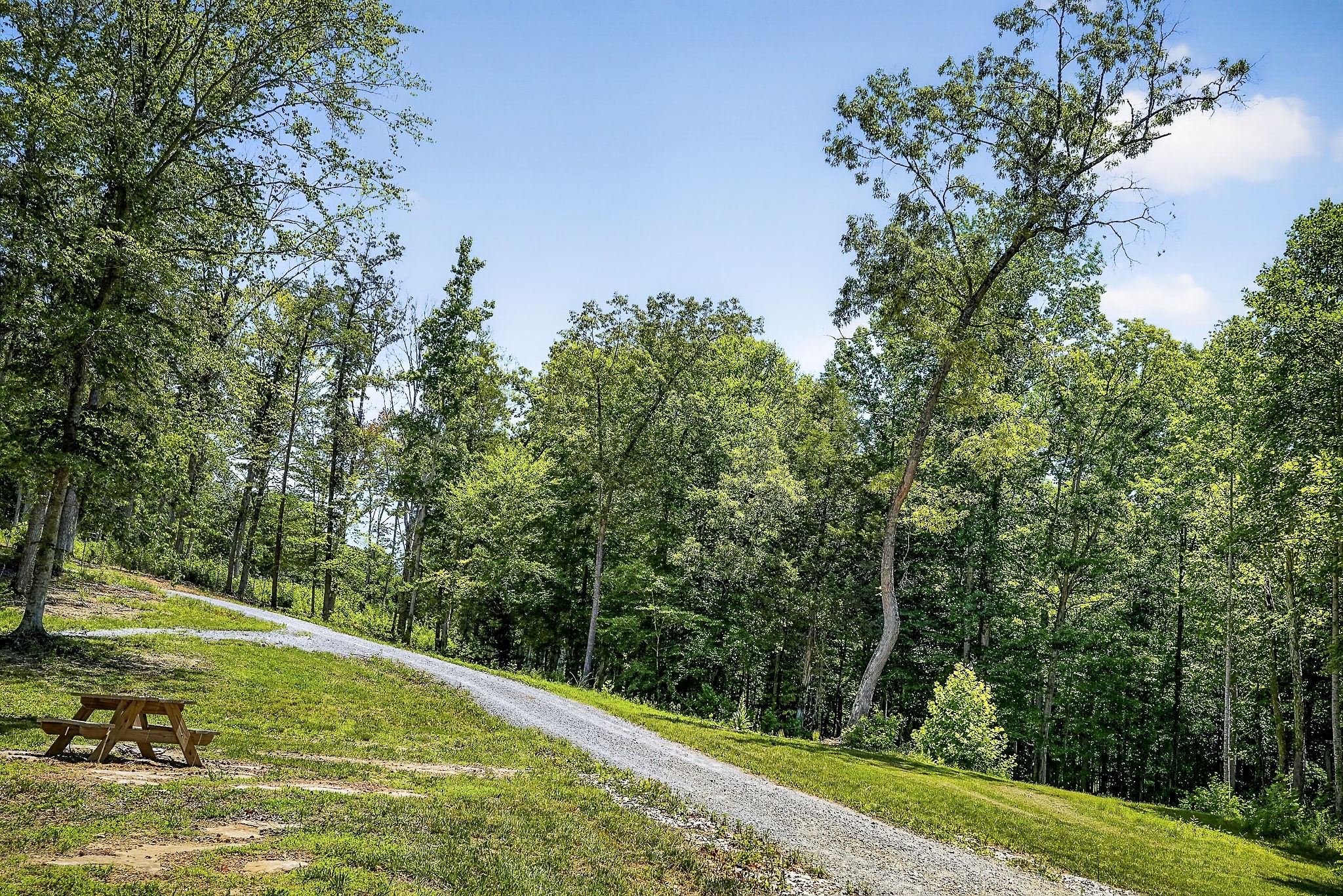 359 Allen Sells Lane Alpine, TN 38543 - Photo 32 of 71