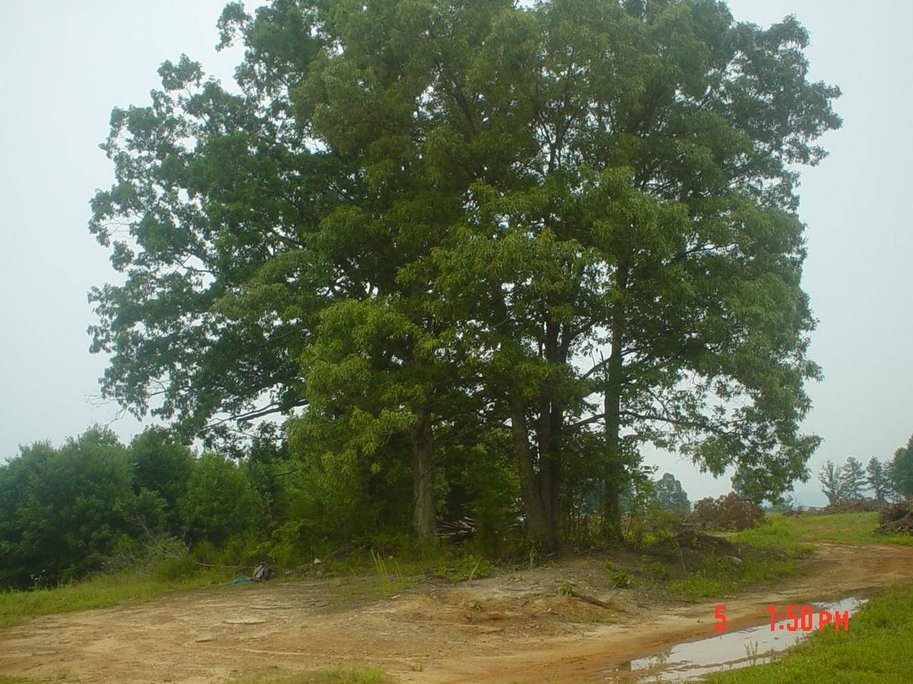 Lot 7 Hatchett Road Penhook, VA 24137 - Photo 3 of 6 a view of a lake view