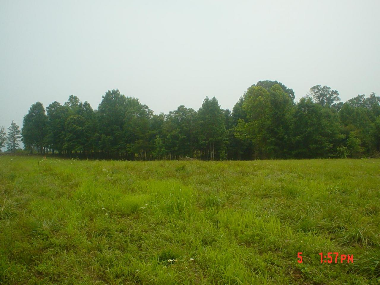 Lot 7 Hatchett Road Penhook, VA 24137 - Photo 4 of 6 a view of a field of grass and trees