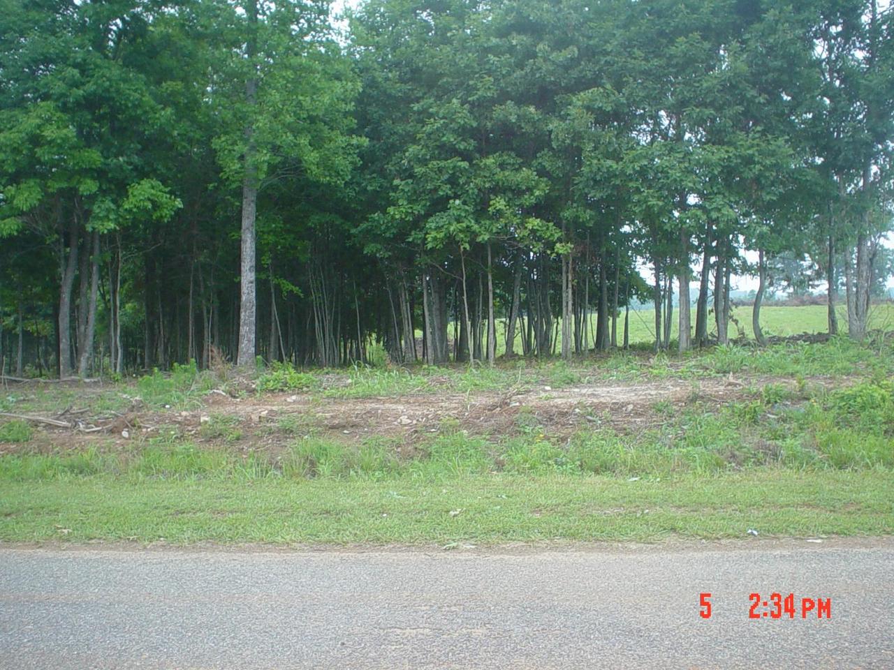 Lot 7 Hatchett Road Penhook, VA 24137 - Photo 6 of 6 a backyard of a house with lots of green space and trees