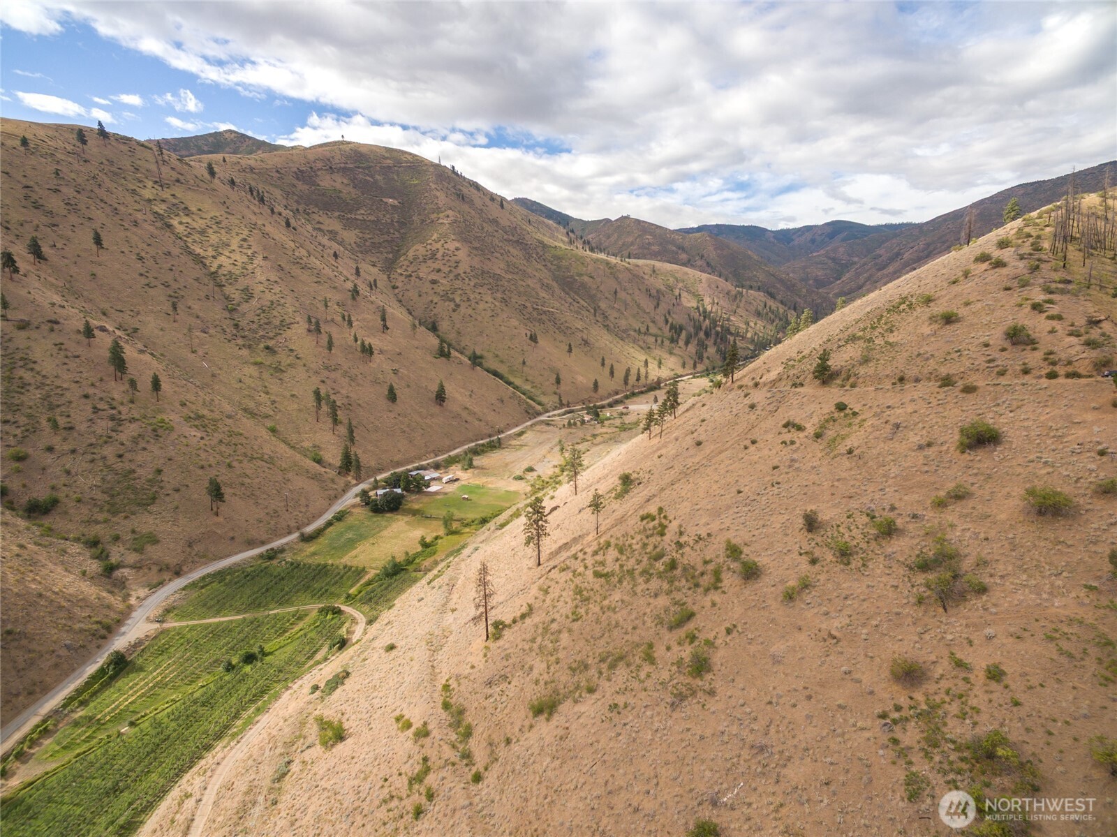 5058 Mills Canyon Road Entiat, WA 98822 - Photo 13 of 25 a view of a dry yard with mountains in the background