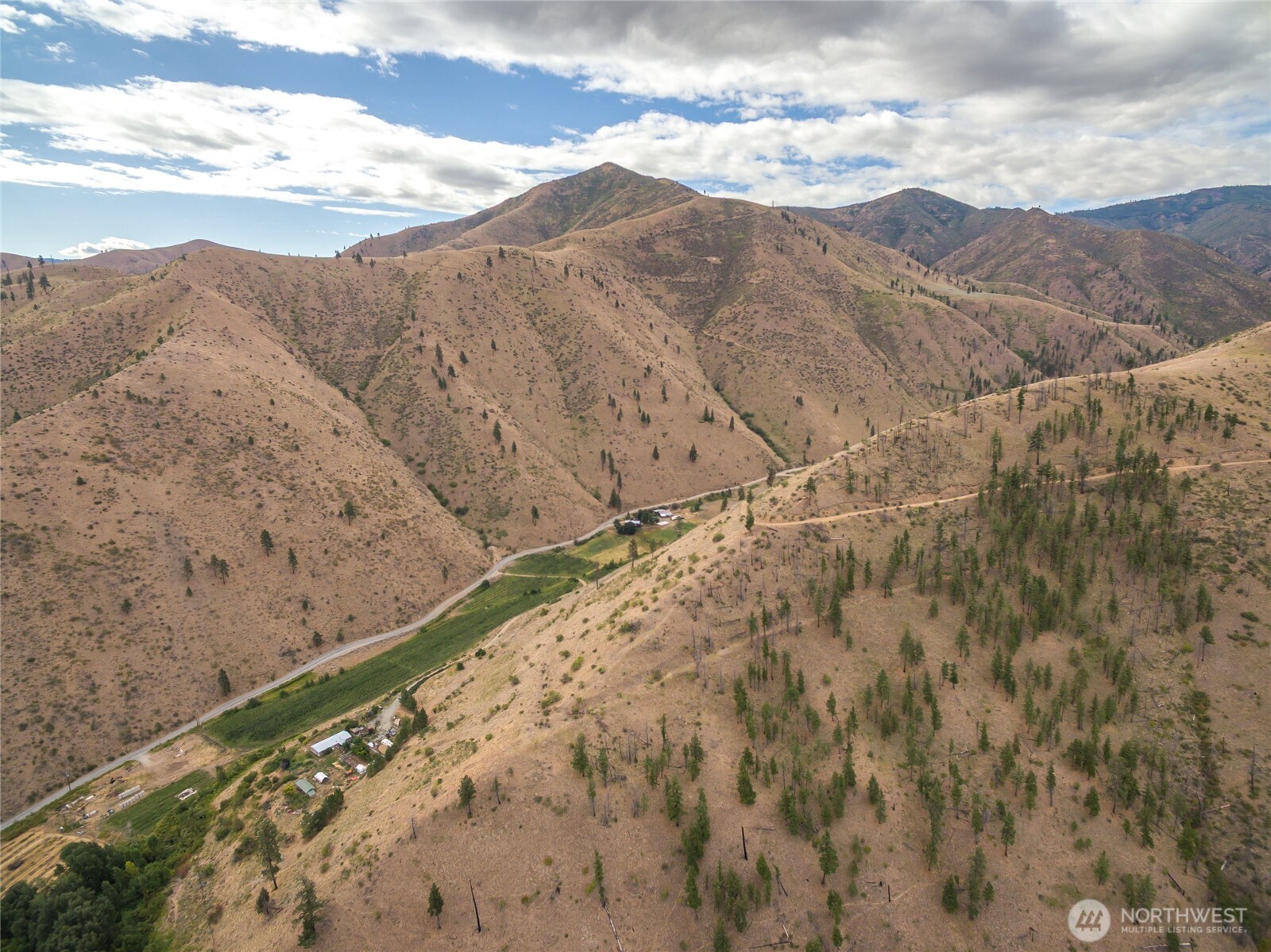 5058 Mills Canyon Road Entiat, WA 98822 - Photo 15 of 25 a view of a dry yard with mountains in the background