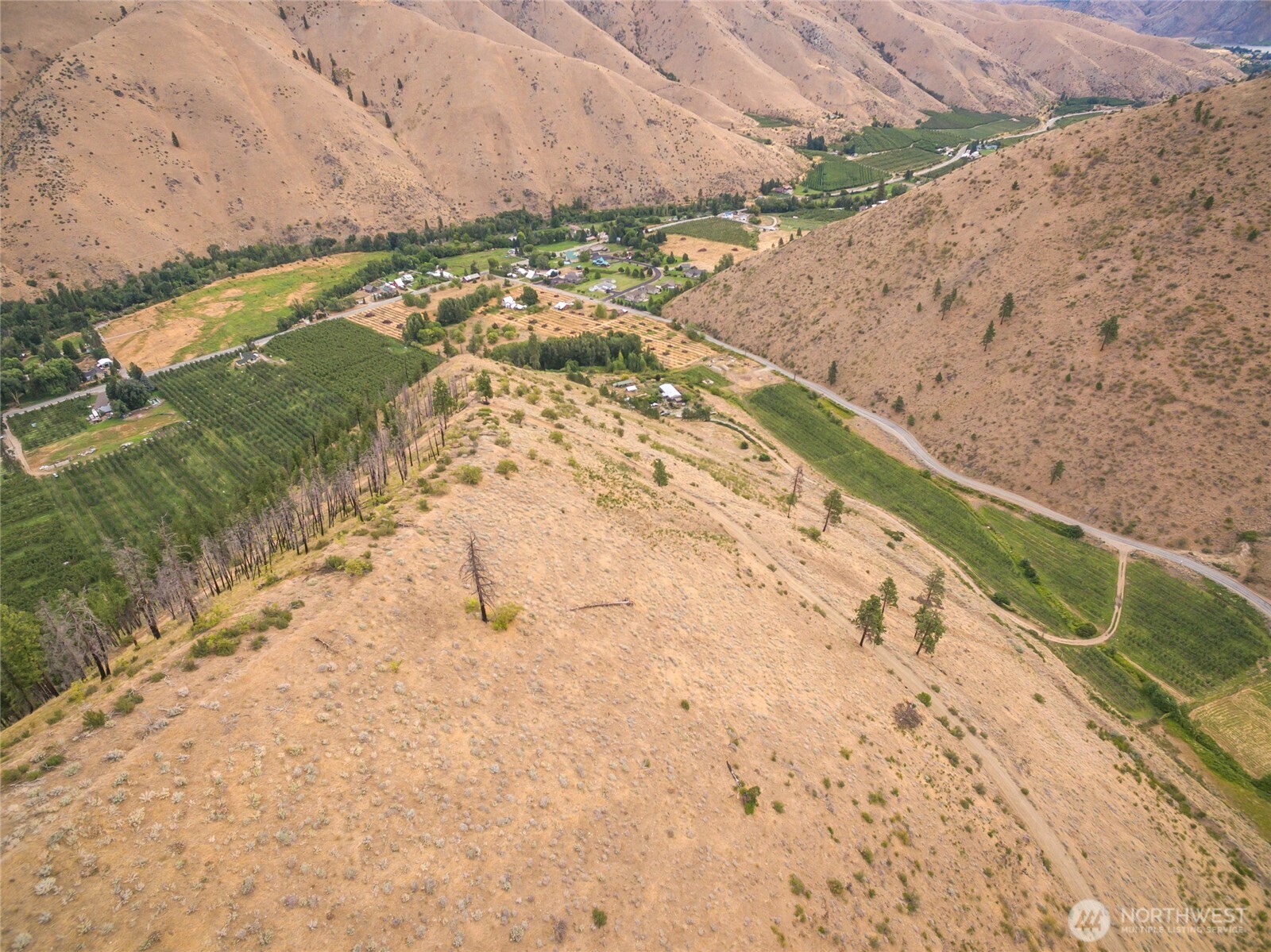 5058 Mills Canyon Road Entiat, WA 98822 - Photo 16 of 25 a view of a yard with wooden fence