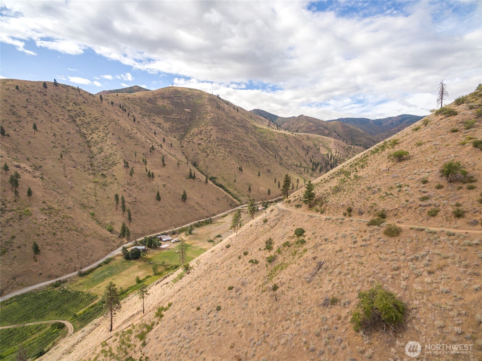 5058 Mills Canyon Road Entiat, WA 98822 - Photo 17 of 25 a view of a dry yard with mountains in the background