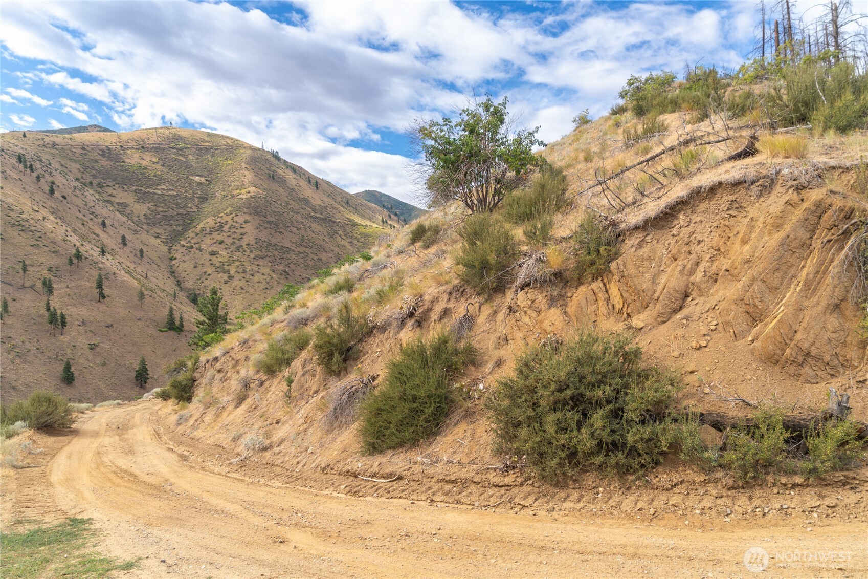 5058 Mills Canyon Road Entiat, WA 98822 - Photo 18 of 25 a view of a yard with wooden fence