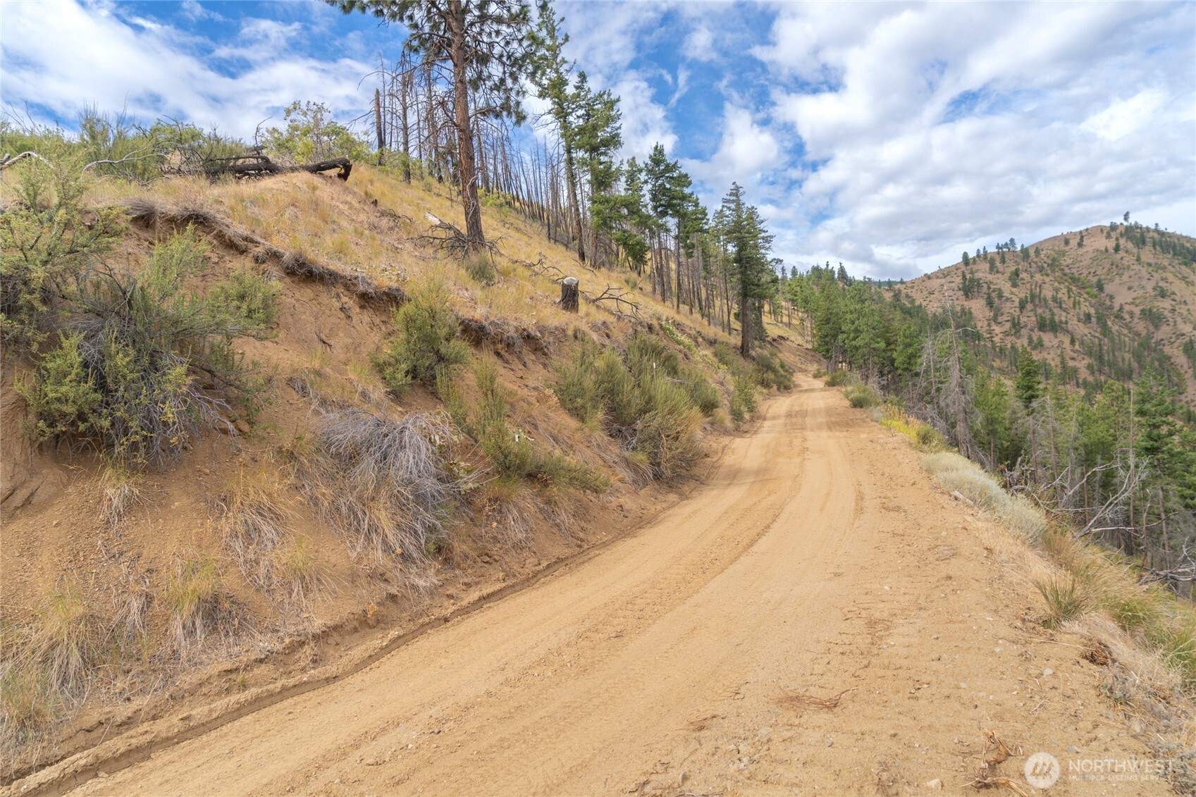 5058 Mills Canyon Road Entiat, WA 98822 - Photo 19 of 25 a view of a yard with wooden fence