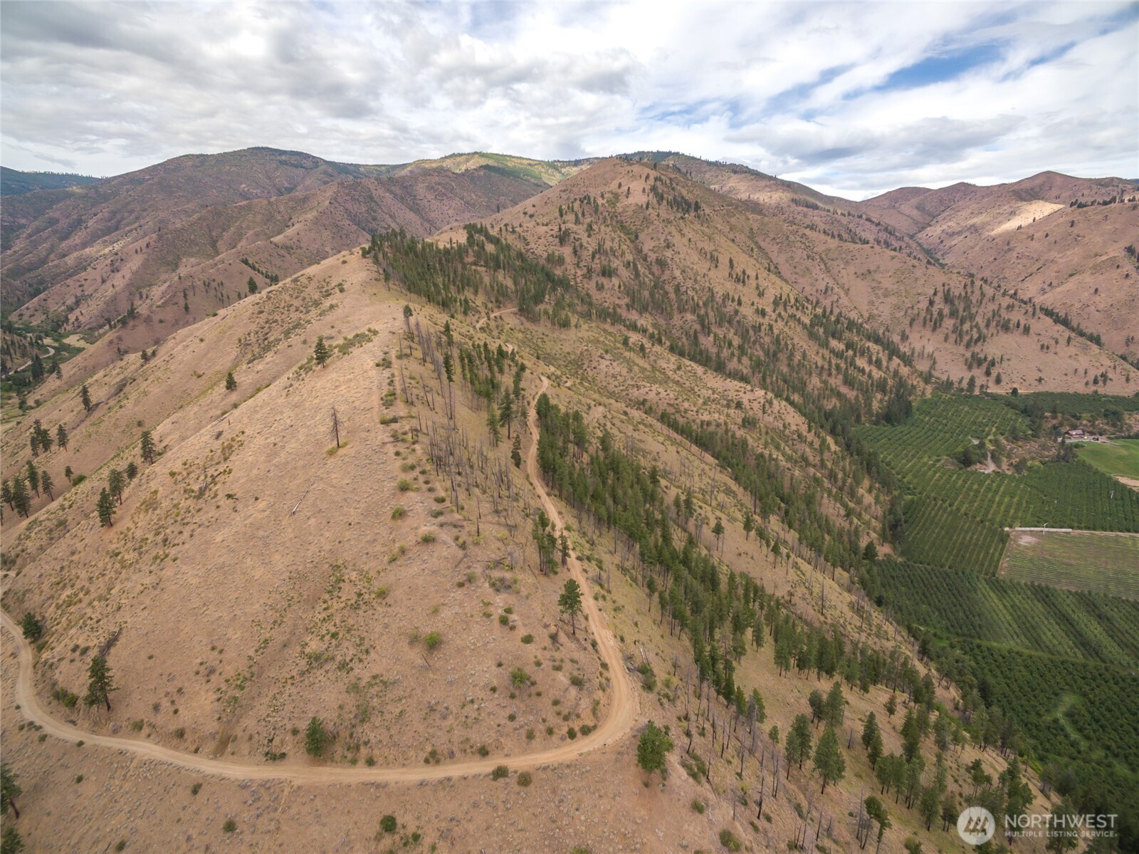 5058 Mills Canyon Road Entiat, WA 98822 - Photo 20 of 25 a view of a dry yard with mountains in the background