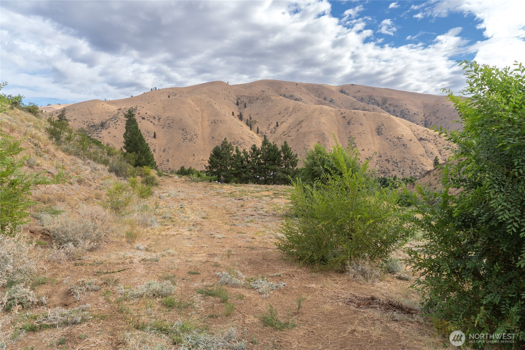 5058 Mills Canyon Road Entiat, WA 98822 - Photo 3 of 25 a view of a dry yard with mountains and plants