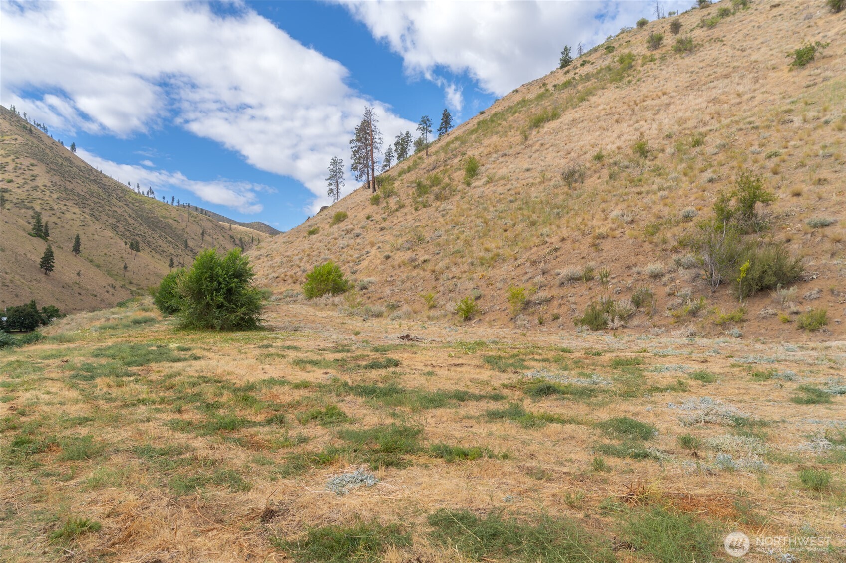 5058 Mills Canyon Road Entiat, WA 98822 - Photo 7 of 25 a view of a yard with trees