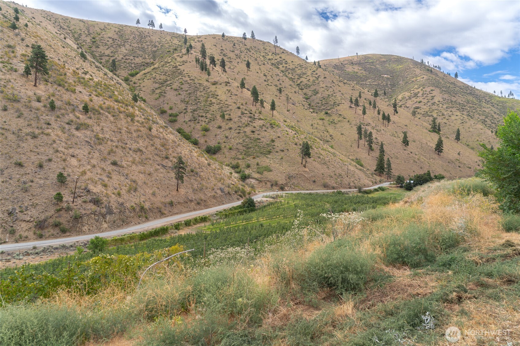 5058 Mills Canyon Road Entiat, WA 98822 - Photo 9 of 25 a view of a field with trees in the background