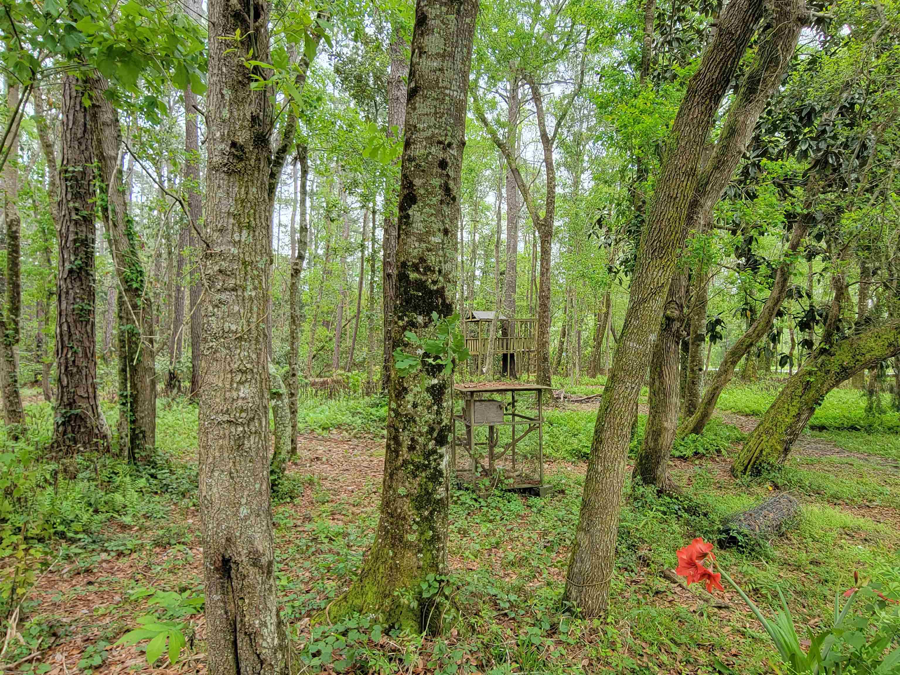 10 County Road Foley, AL 36535 - Photo 7 of 17