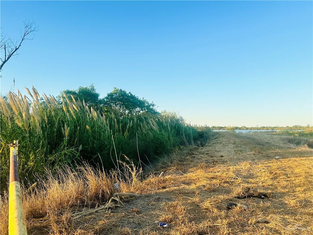 Tbd Bucy Road Raymondville, TX 78580 - Photo 2 of 6 a view of a yard with a tree