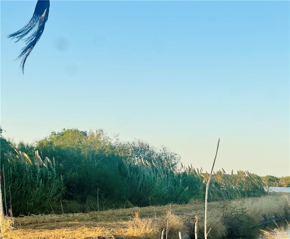 Tbd Bucy Road Raymondville, TX 78580 - Photo 3 of 6 a view of a backyard