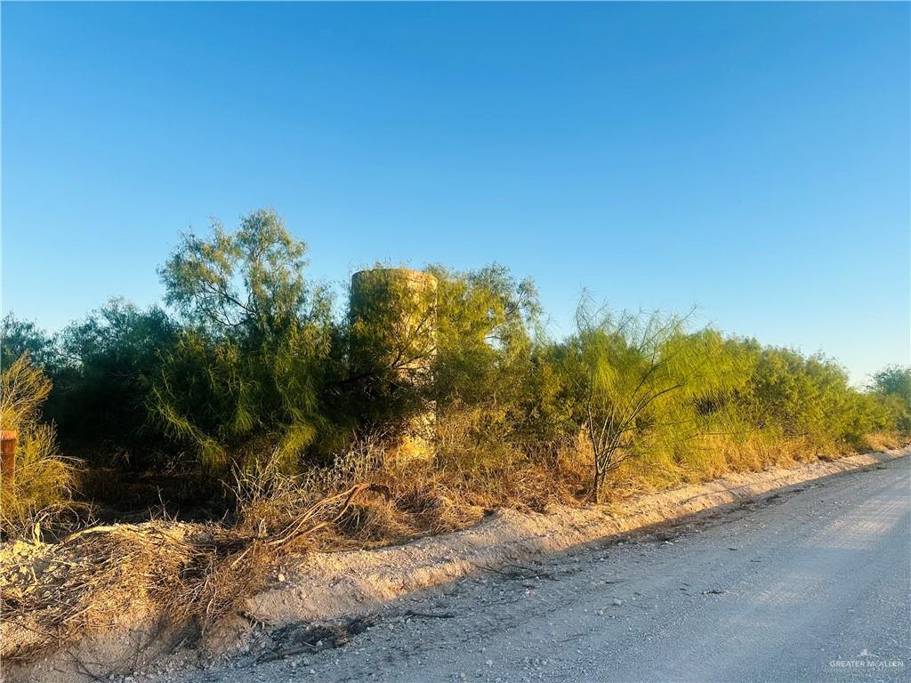 Tbd Bucy Road Raymondville, TX 78580 - Photo 4 of 6 a view of a yard