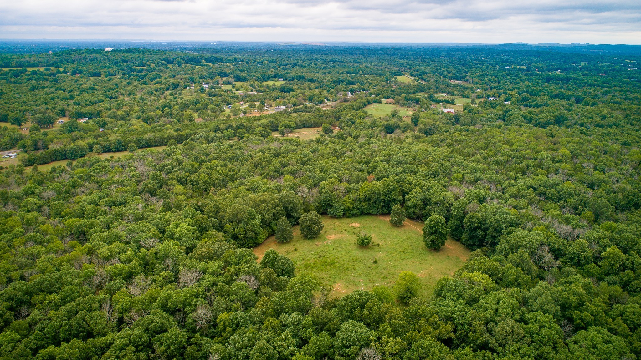 a view of a green yard with large trees