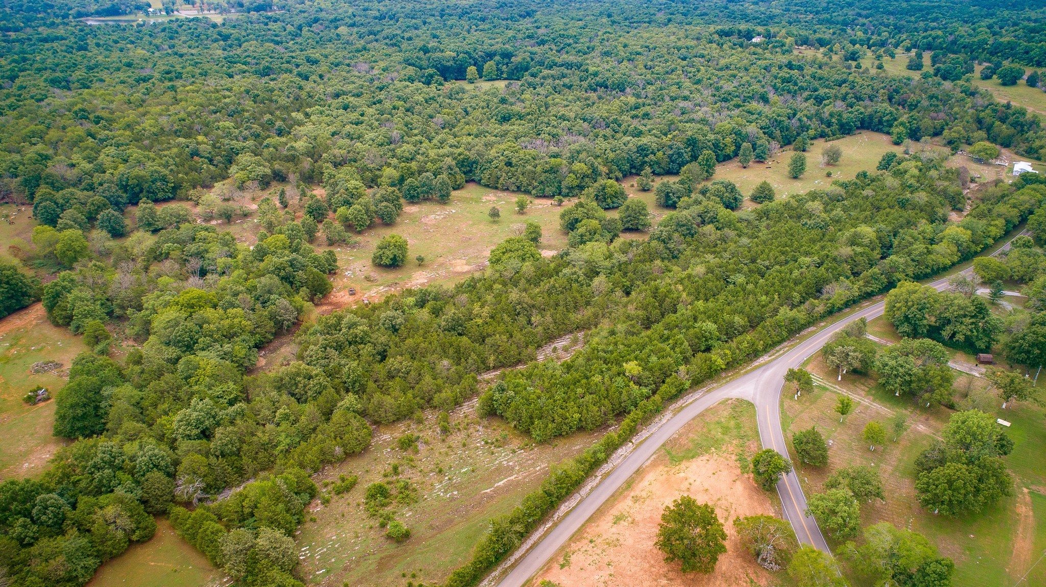 0 Factory Road Murfreesboro, TN 37130 - Photo 2 of 6 a view of a forest with a lake