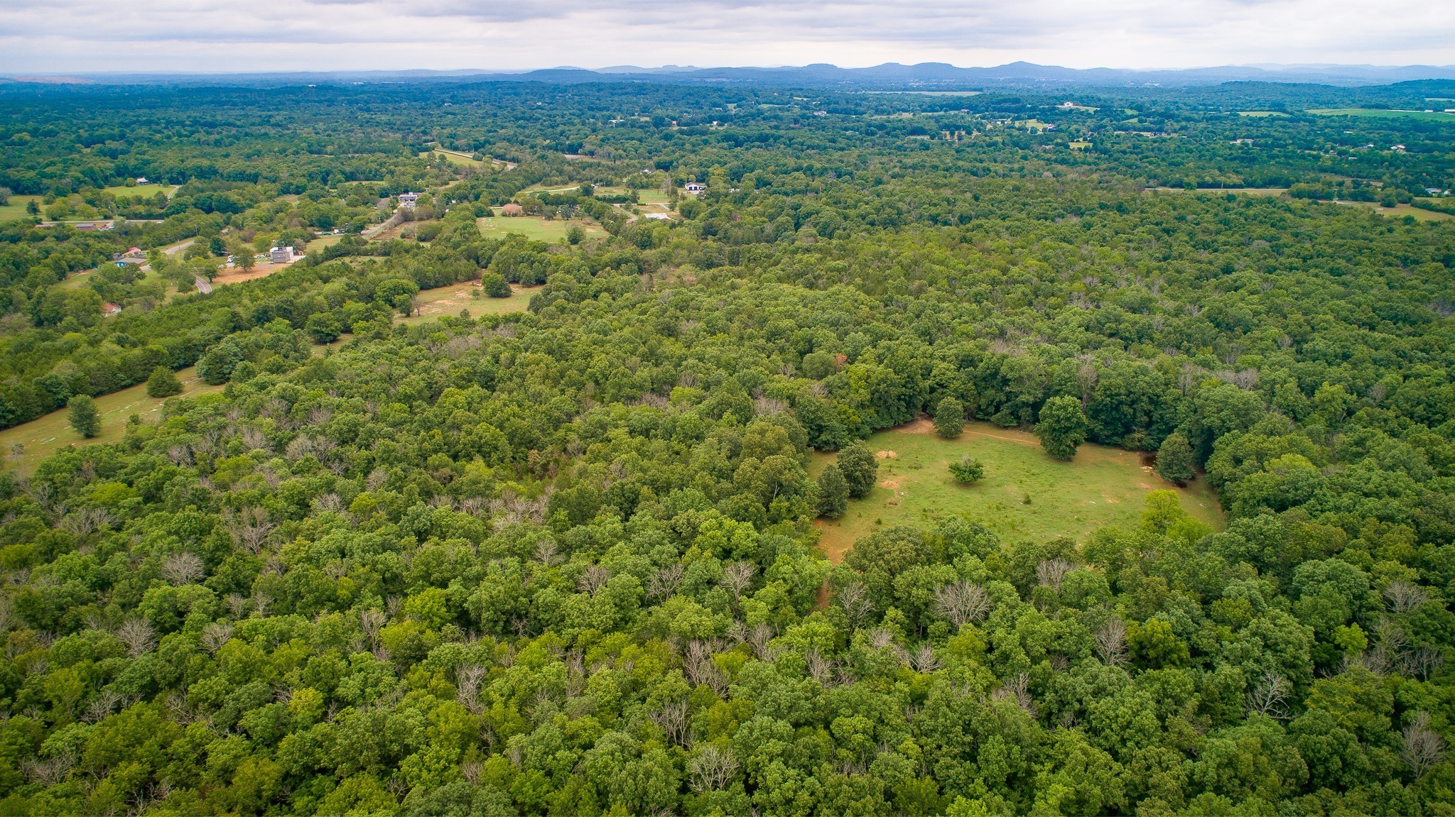 0 Factory Road Murfreesboro, TN 37130 - Photo 6 of 6 a view of a green field with lots of bushes