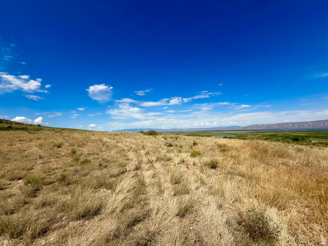 160 Dry Canyon St. Charles, ID 83272 - Photo 27 of 63 Expansive land parcel featuring dry grasses and a clear blue sky