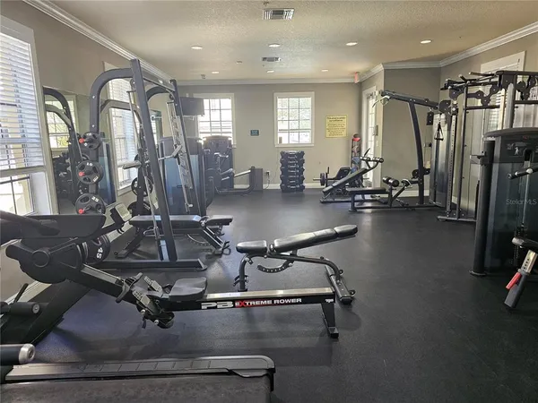 $3,700 | 118 South Obrien Street, Unit 118, Tampa, FL 33609