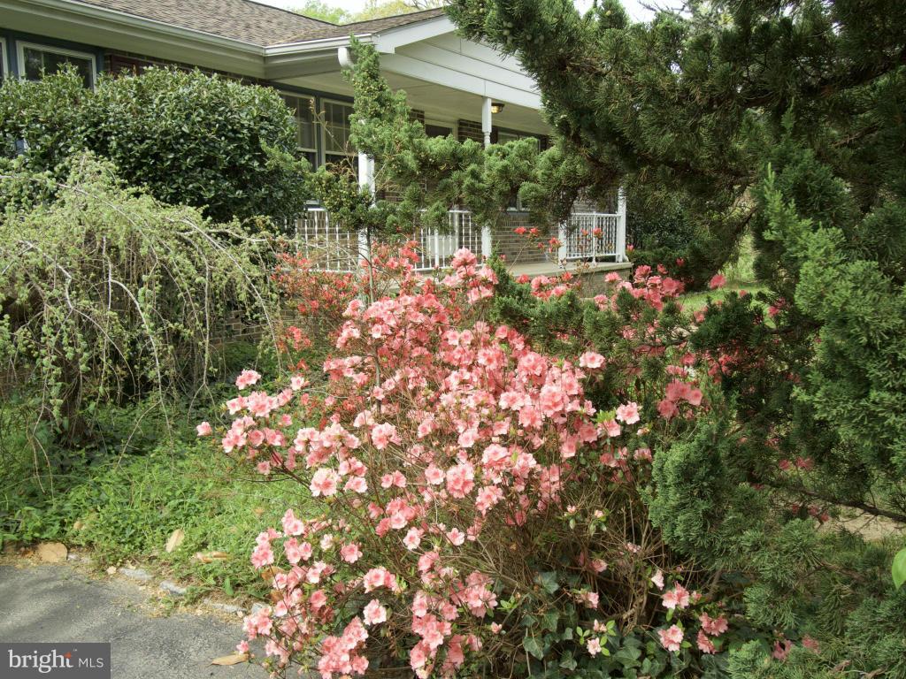 2237 Mountain View Road Stafford, VA 22556 - Photo 23 of 23 Exterior (General)