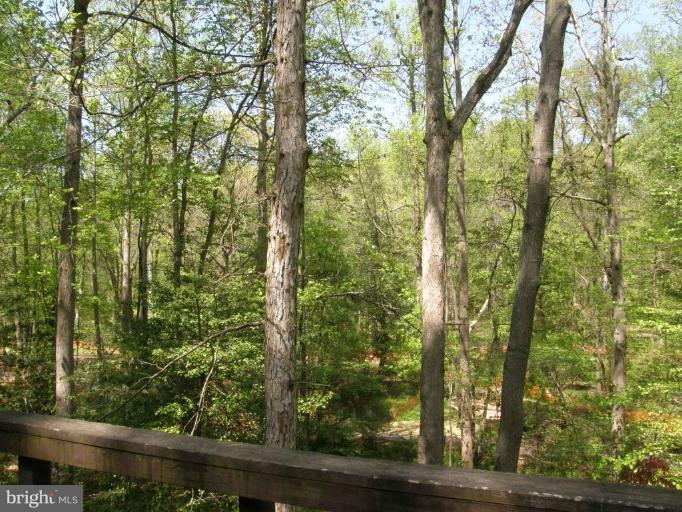 11314 Myrtle Lane Reston, VA 20191 - Photo 3 of 12 Wooded View / Acreage 2