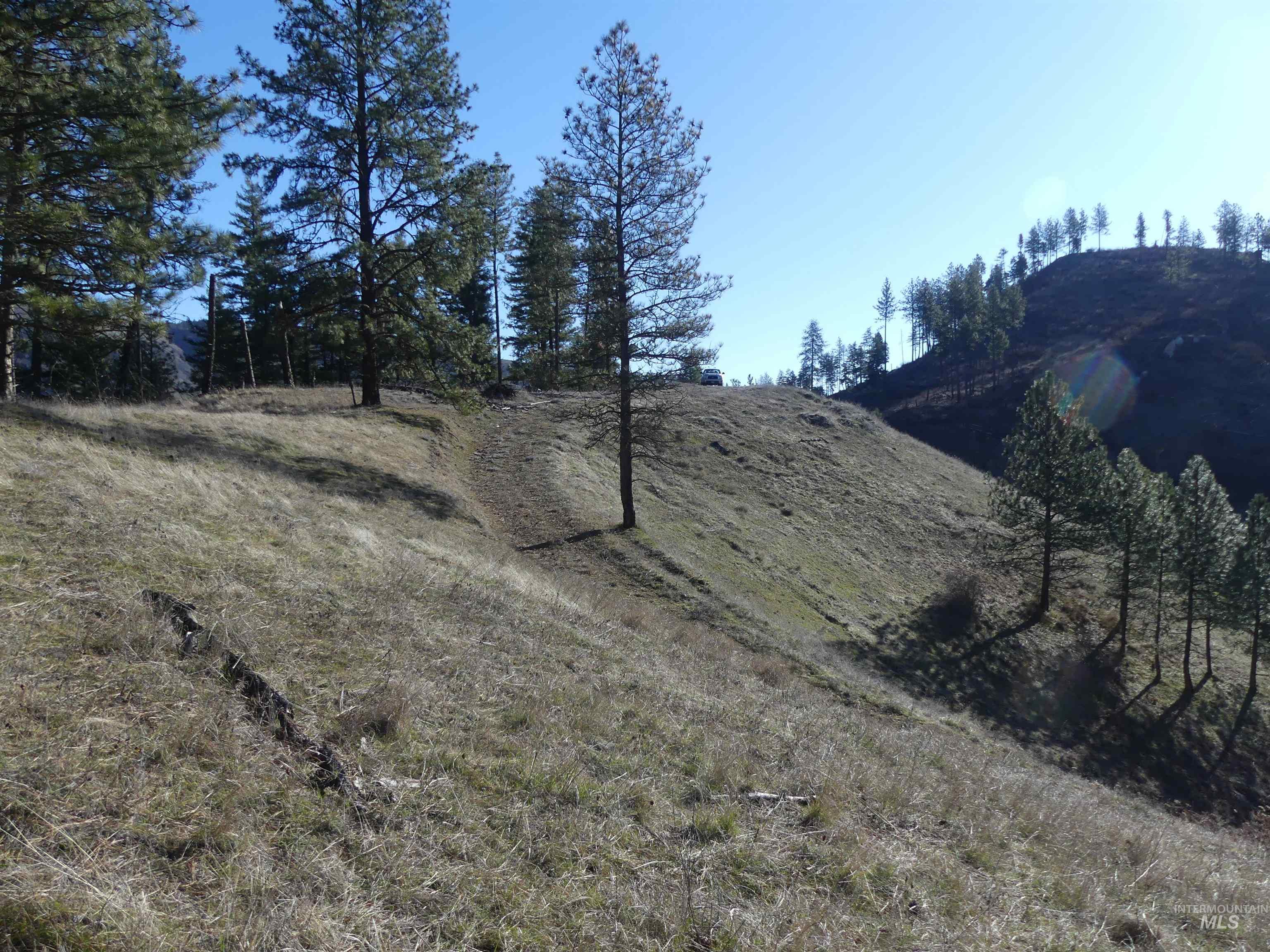 1408 Carrot Ridge Road Kamiah, ID 83536 - Photo 25 of 48