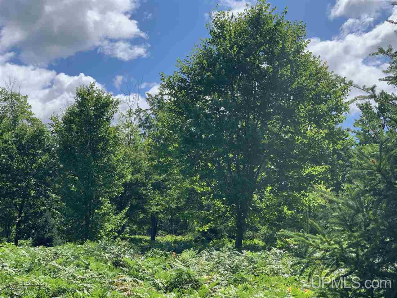 T-wi River Forest Road, Unit 10 Florence, WI 54121 - Photo 6 of 6