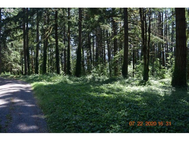 36463 Row River Road Cottage Grove, OR 97424 - Photo 11 of 16 Gallery Image 11