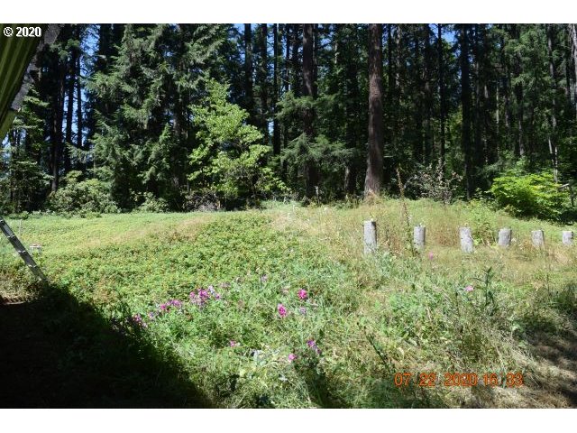 36463 Row River Road Cottage Grove, OR 97424 - Photo 13 of 16 Gallery Image 13