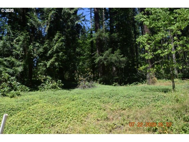 36463 Row River Road Cottage Grove, OR 97424 - Photo 14 of 16 Gallery Image 14