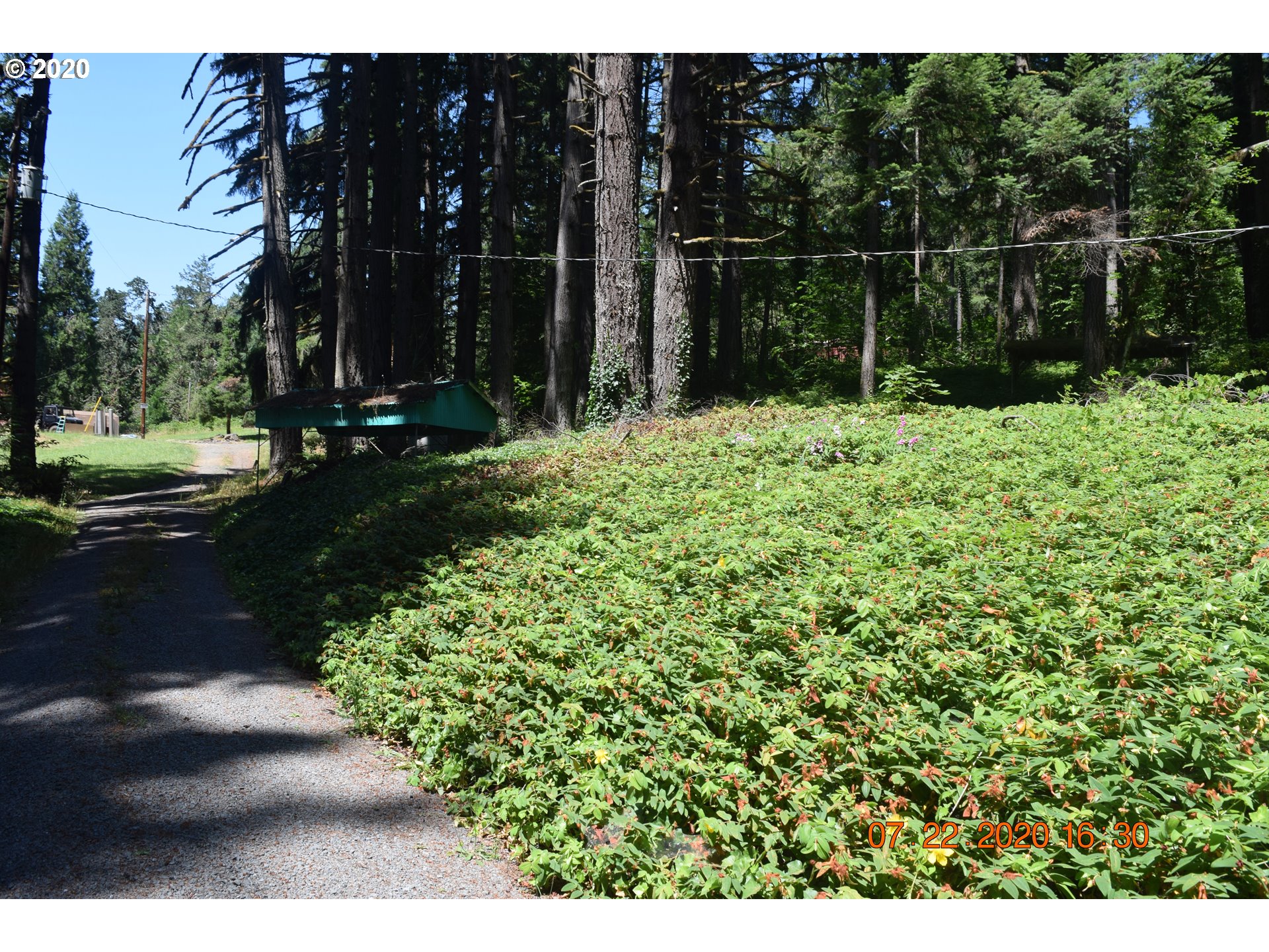 36463 Row River Road Cottage Grove, OR 97424 - Photo 16 of 16 Gallery Image 16