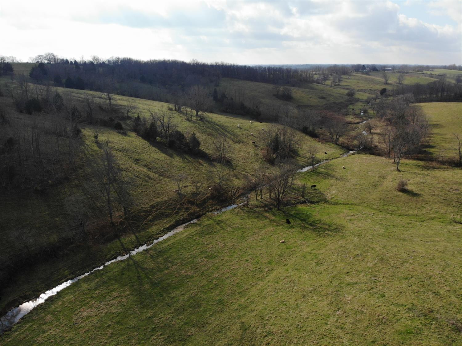 5040 Stepstone Road Mount Sterling, KY 40353 - Photo 31 of 51 Photo 31