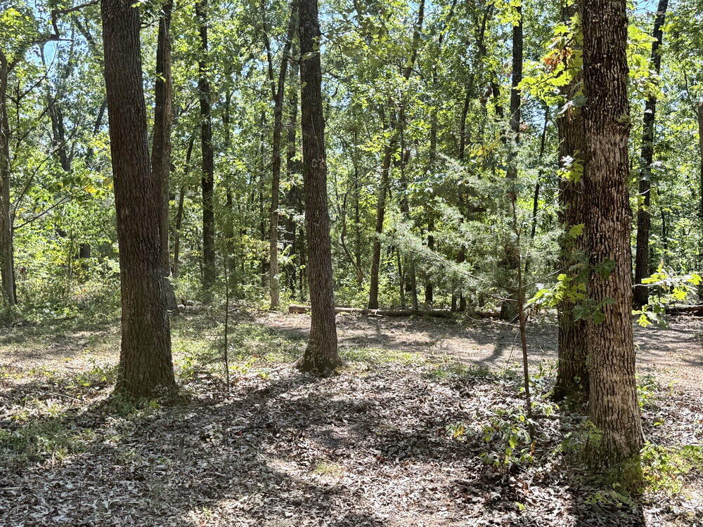 0 Southeast 871 Road Collins, MO 64738 - Photo 10 of 26 10