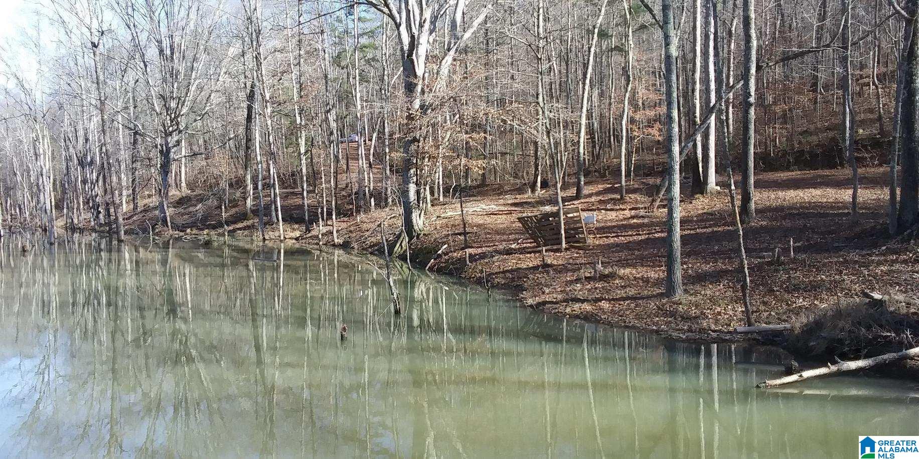 0 Owls Hollow Road, Unit 51 Gadsden, AL 35901 - Photo 1 of 9