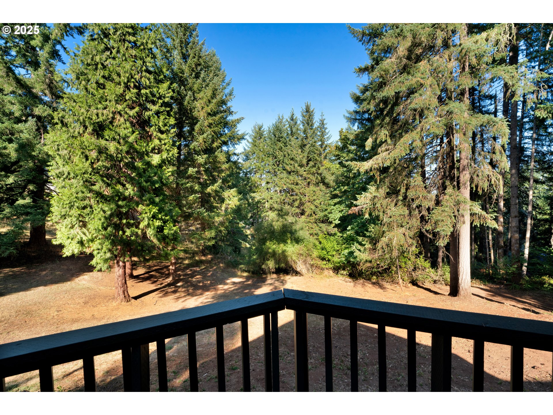 118 Watagua Place Cottage Grove, OR 97424 - Photo 3 of 39