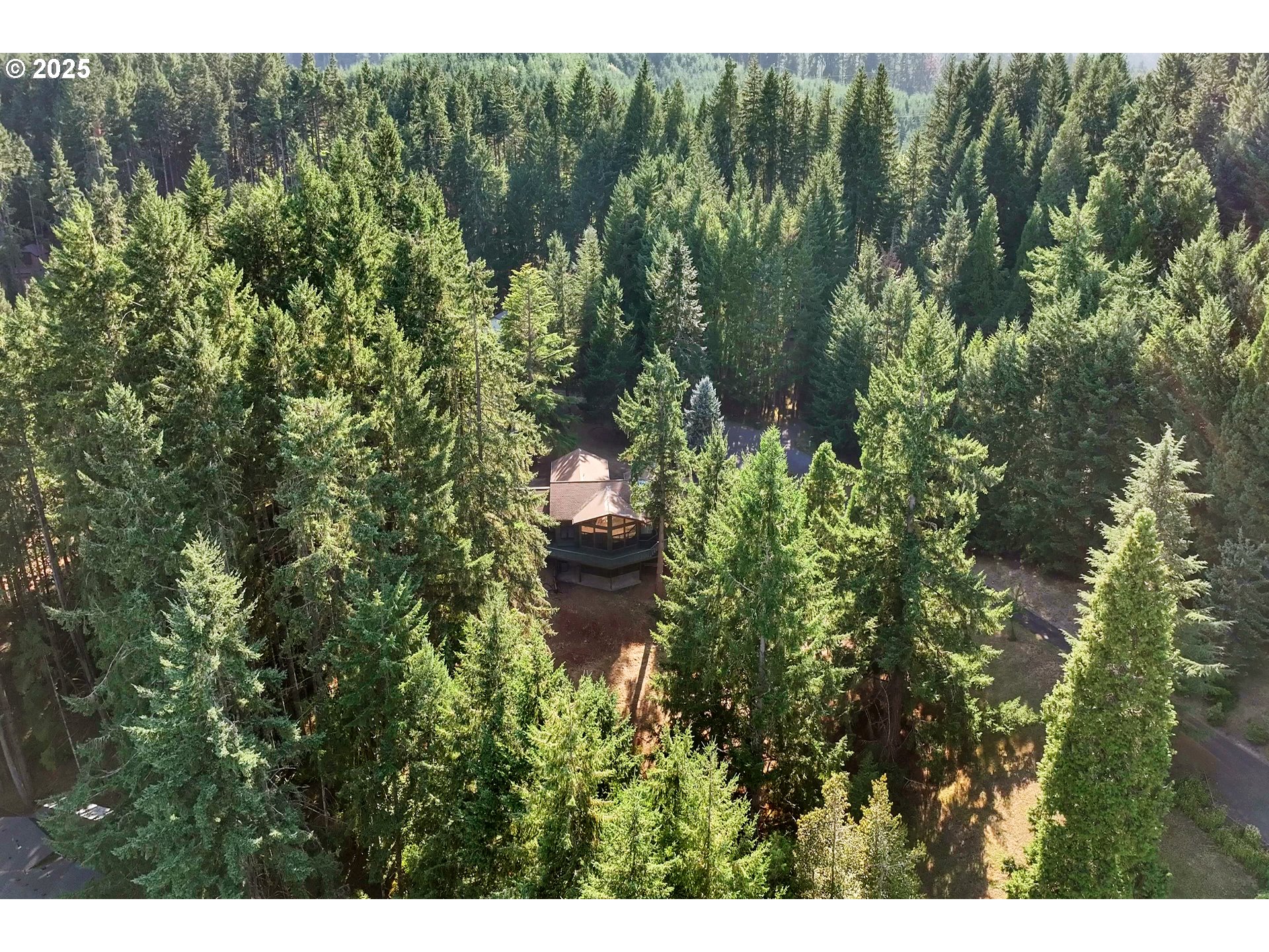 118 Watagua Place Cottage Grove, OR 97424 - Photo 4 of 39