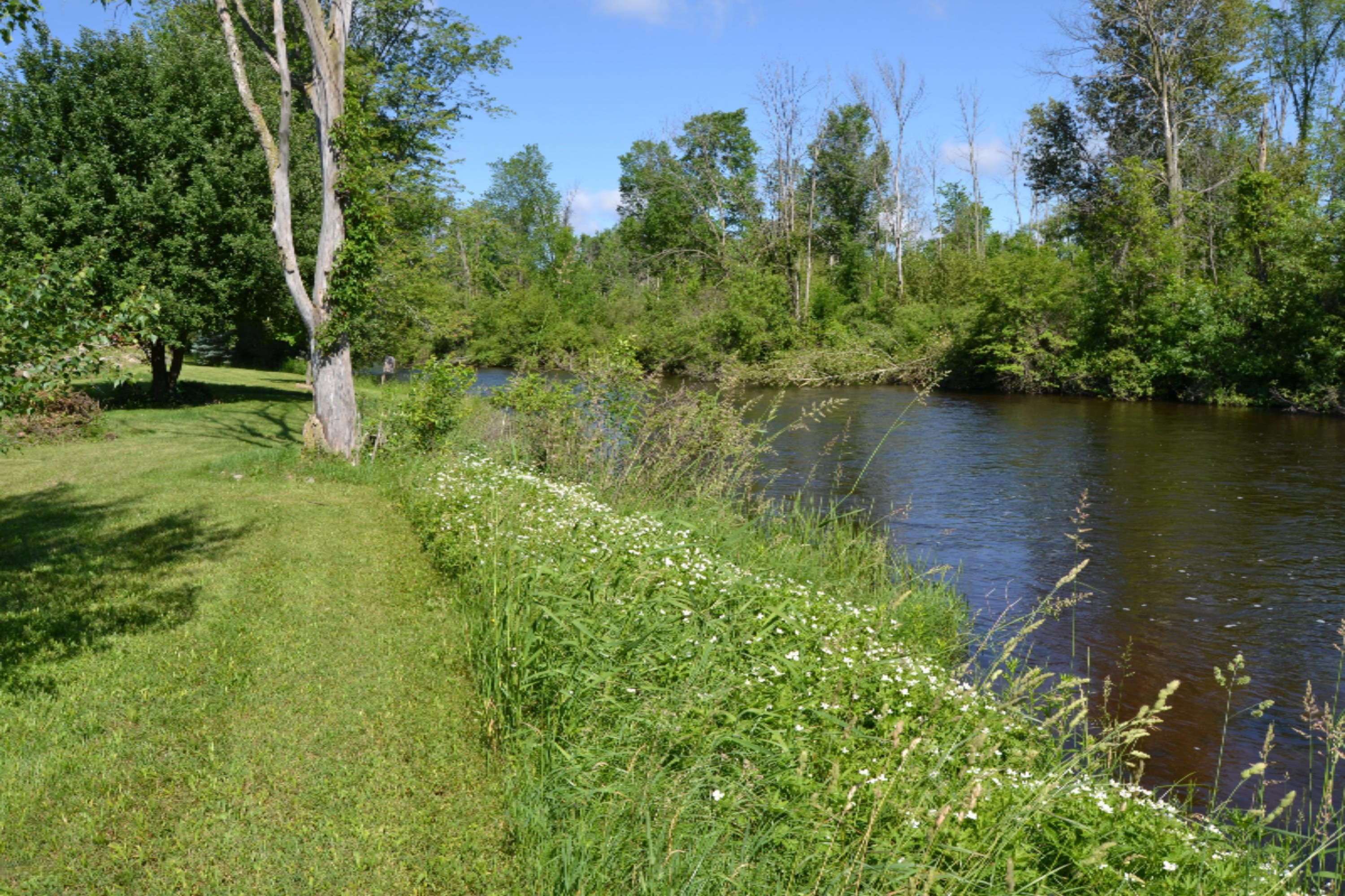 2300 19 Mile Road Barryton, MI 49305 - Photo 37 of 56 DSC_0916