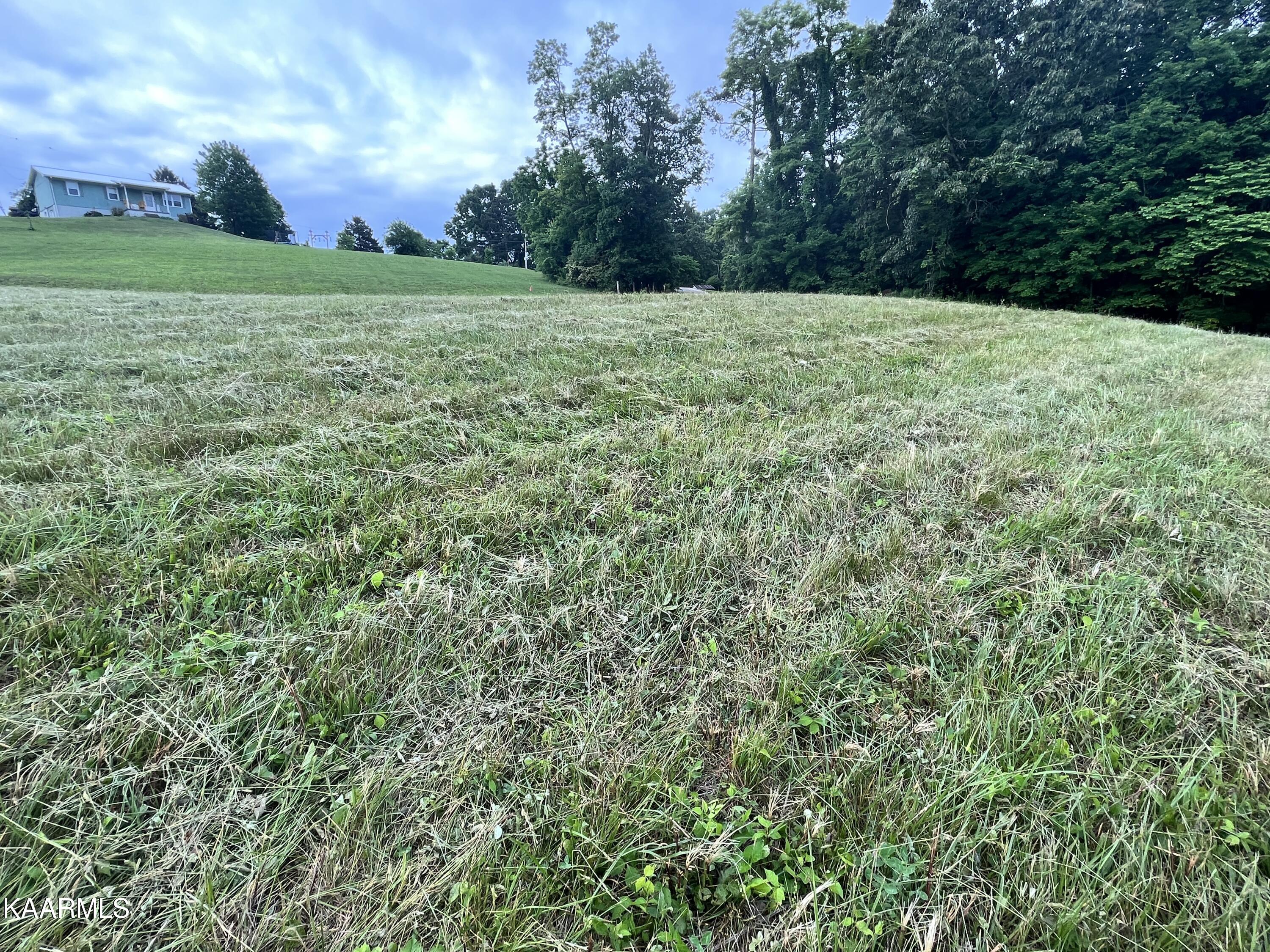 497 Wallace Road Luttrell, TN 37779 - Photo 11 of 32 7F639C47-B5EC-4832-B424-D858F5C325B5