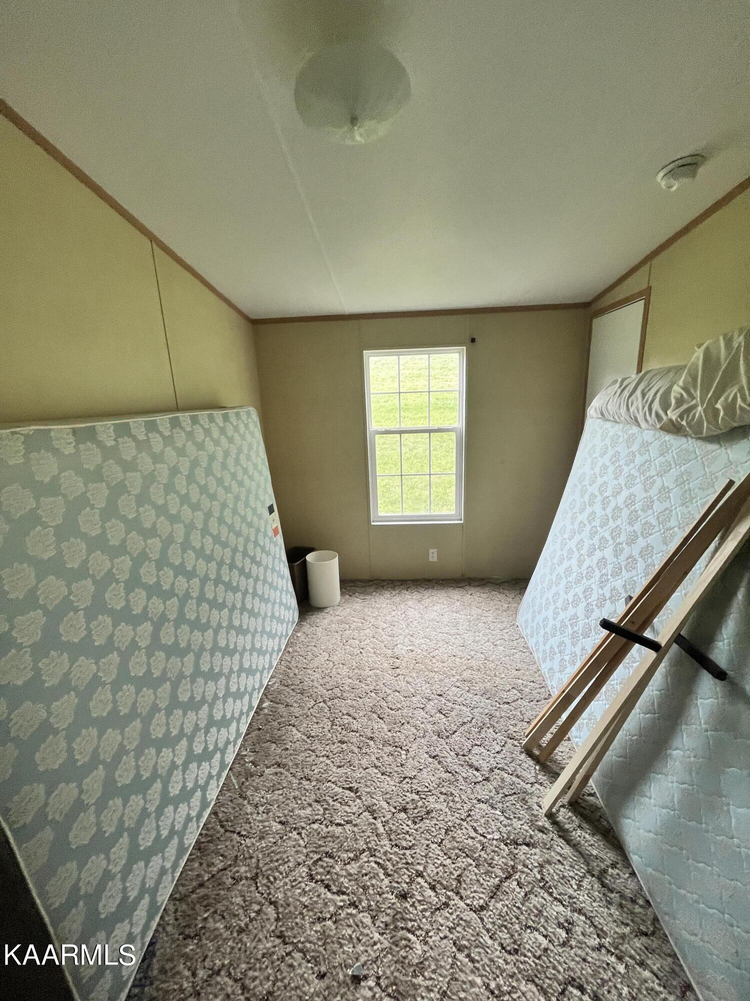 497 Wallace Road Luttrell, TN 37779 - Photo 25 of 32 353FFEFA-0D3F-4C8B-8CD5-03E532D6B633