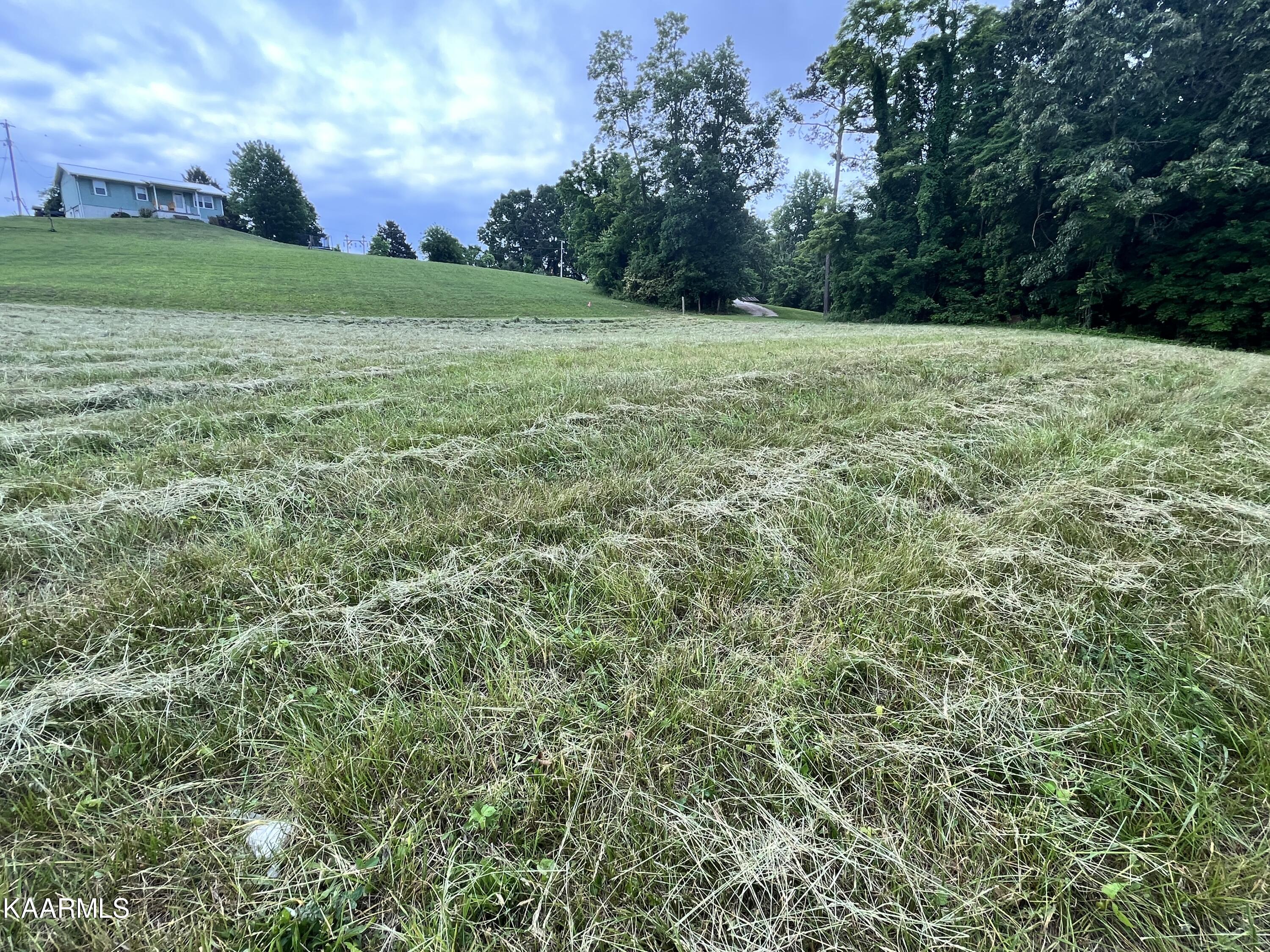 497 Wallace Road Luttrell, TN 37779 - Photo 8 of 32 961F9B7D-56BB-4CA5-8BF1-0F76ECF883A4