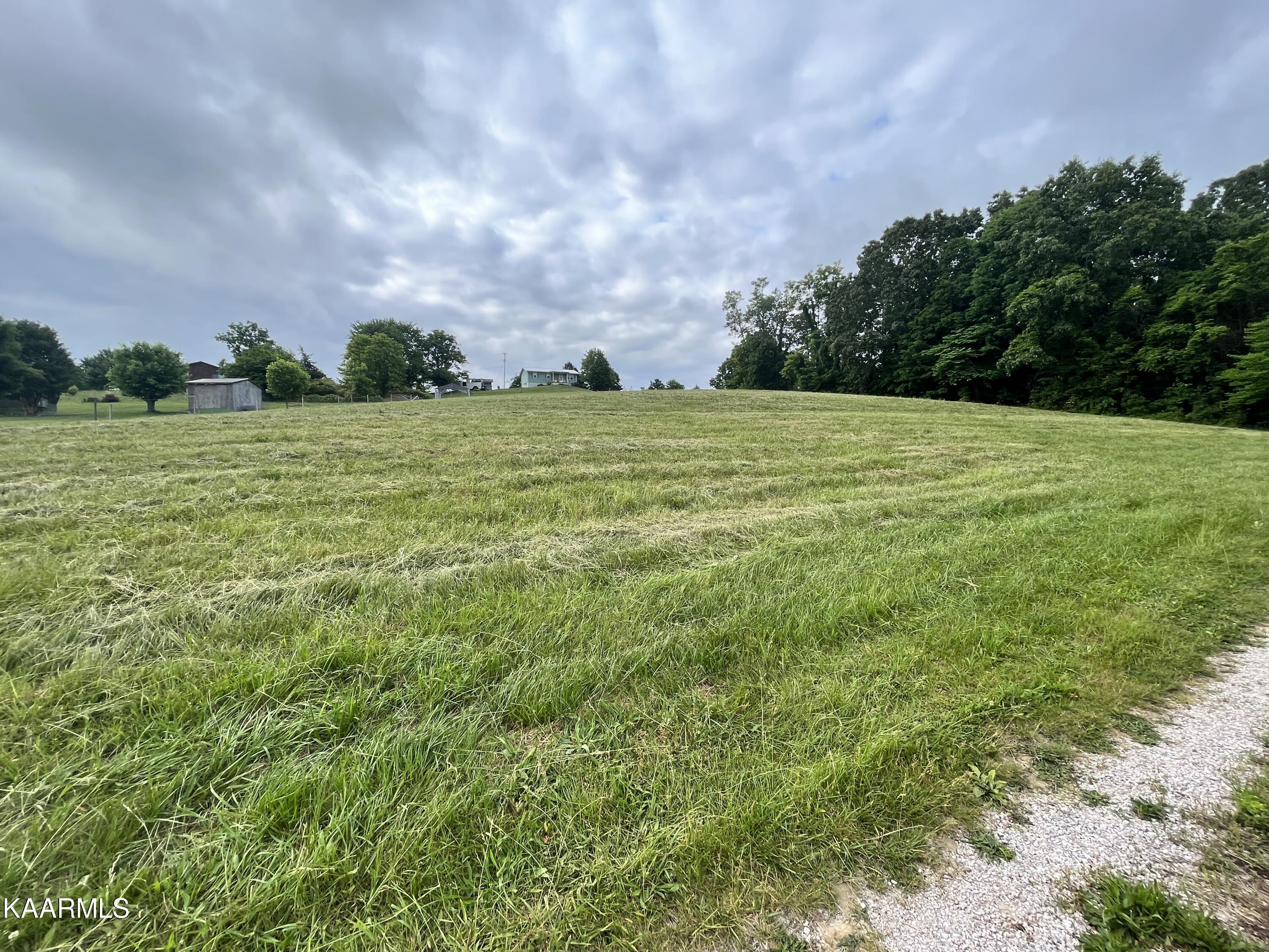 497 Wallace Road Luttrell, TN 37779 - Photo 9 of 32 7CC624D3-5847-42B7-9A65-FBEF1A8A6F7D